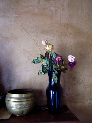 Jonathan langran, Les Fleurs mortes 2002