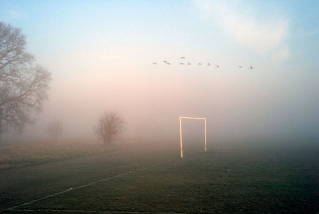 Jonathan Langran, Geese Goal