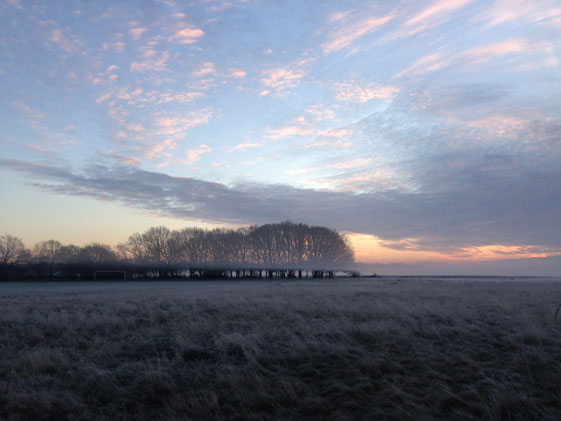 Jonathan Langran, Morning Mist 1