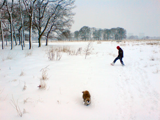 Jonathan Langran, Snow Walk