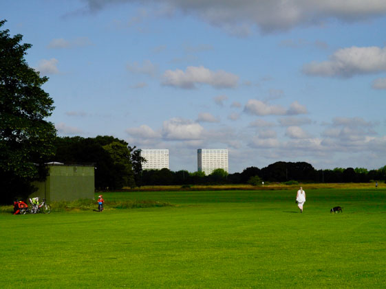 Jonathan Langran, Summer Morning