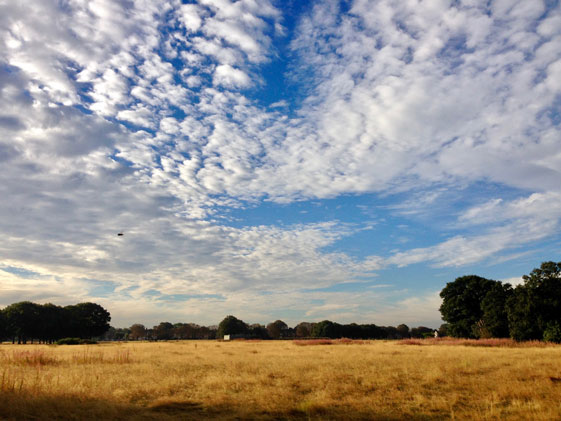 Jonathan Langran, Summer Sky